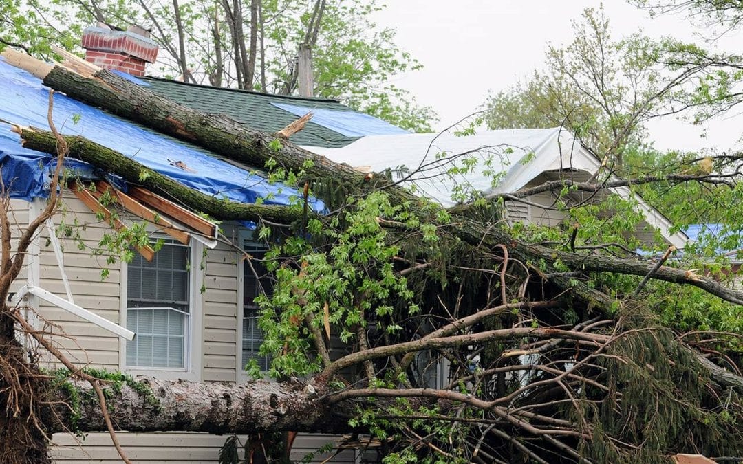 What To Do if a Storm Damages Your Roof in Hillsboro