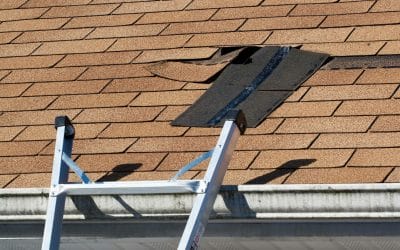 The Most Common Spring Roof Problems in Hillsboro